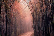 西媒：皇马计划调整伯纳乌更衣室&低层看台，10月举办NFL比赛.