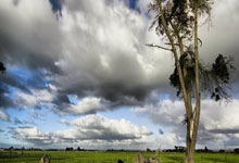 米乐M6：青黄不接智利13轮世预赛仅2胜，狂丢21球排在南美倒一.