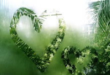 米乐M6：腾空的十八岁！全红婵纪录：女子单人10米台金牌大满贯.