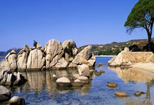 米乐M6:莱万:我的身体状况非常好;为巴萨打入百球是目标和梦想.